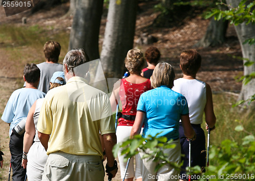 Image of Nordic walk training with a group of people