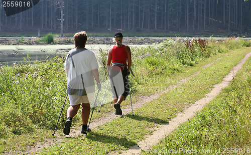 Image of Nordic walk training with a group of people