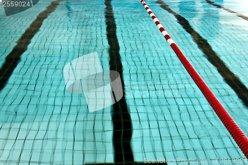 Image of Lanes at the pool