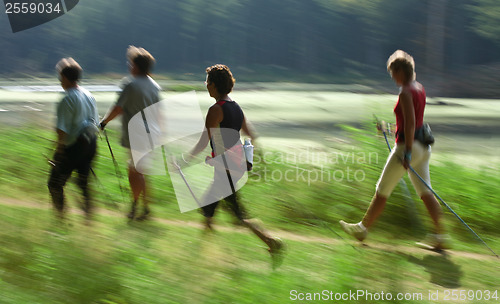 Image of Nordic walk training with a group of people