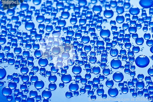 Image of Water drops