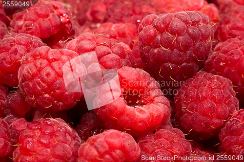 Image of Raspberries