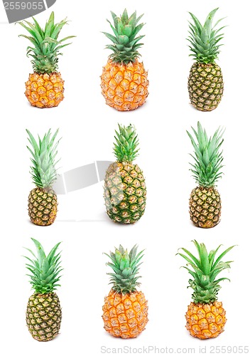 Image of Pineapple