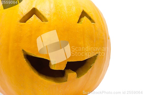 Image of Halloween pumpkin