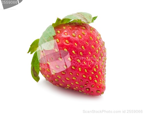 Image of Strawberry