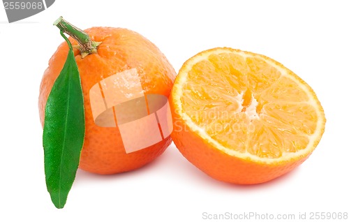 Image of Tangerines