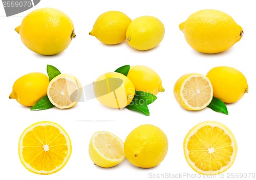 Image of Lemon