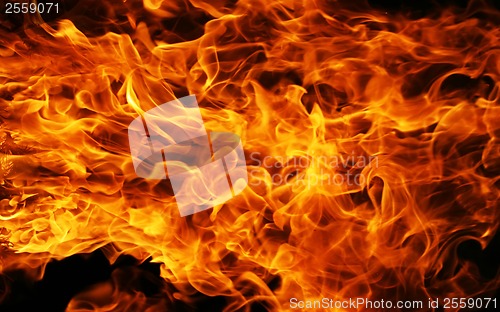 Image of Fire