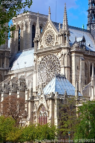 Image of Notre Dame de Paris