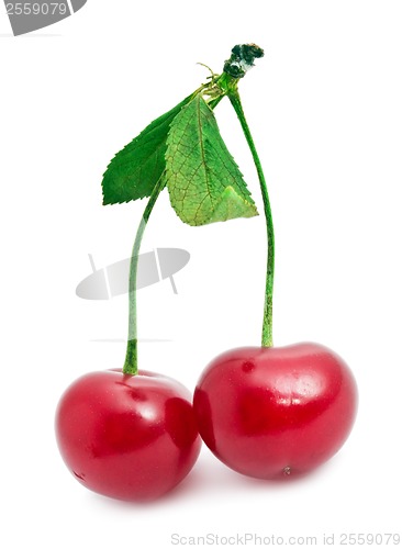 Image of Red cherry