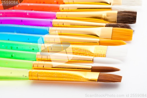 Image of Brushes