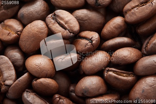 Image of Coffee beans