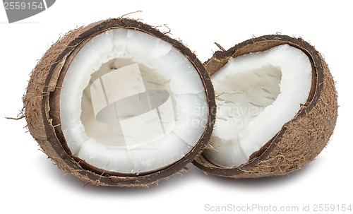 Image of Coconut