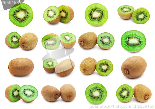Image of Kiwi