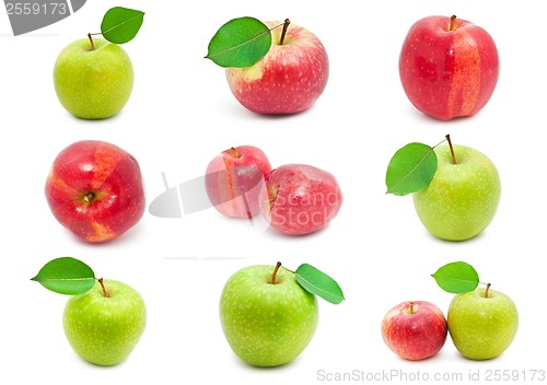 Image of Apples