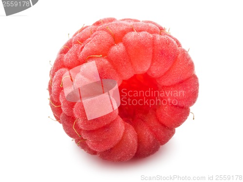 Image of Fresh raspberry