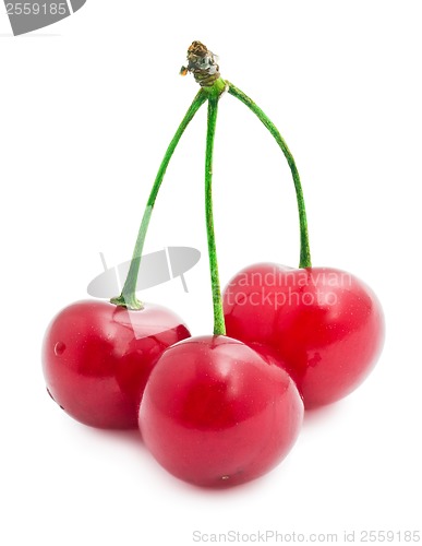 Image of Red cherry