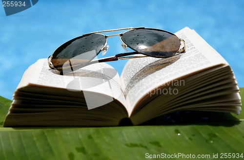 Image of Pool Reading