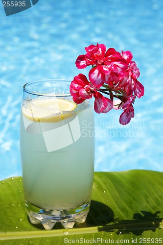 Image of Summer Lemonade