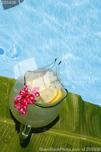 Image of Summer Lemonade