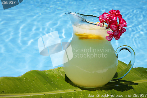 Image of Summer Lemonade
