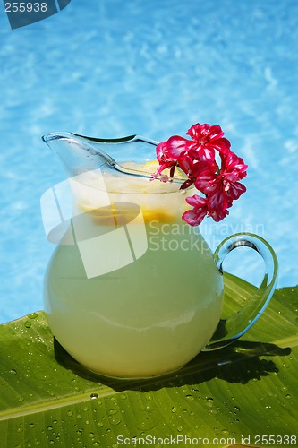 Image of Summer Lemonade