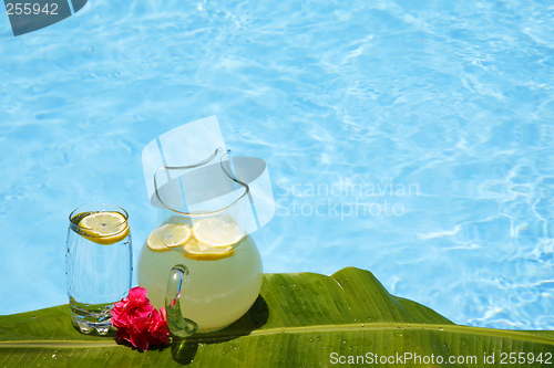 Image of Summer Lemonade