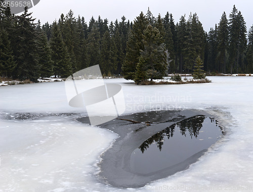 Image of Pond and forest in winter