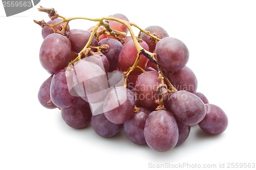 Image of Grapes