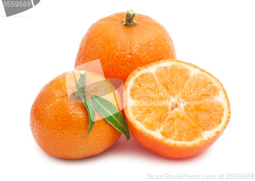 Image of Tangerines