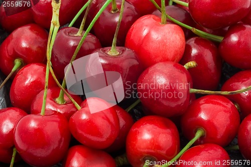 Image of Red cherry
