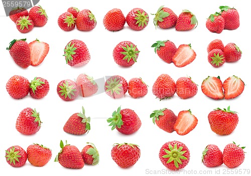 Image of Strawberry