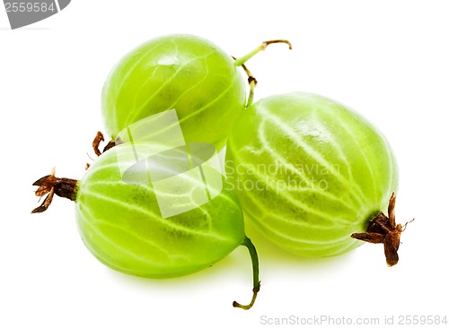 Image of Gooseberries