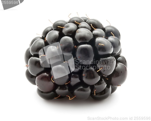 Image of Blackberry