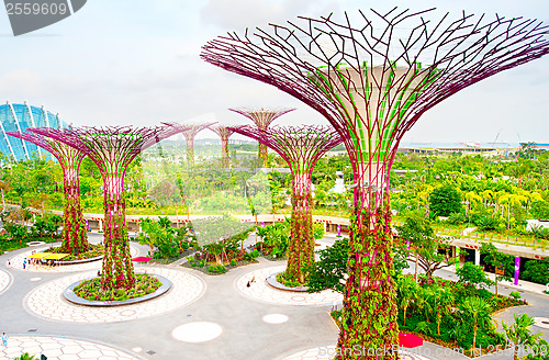 Image of Gardens by the Bay aerial view