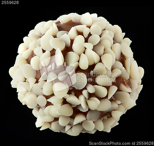 Image of Chocolate praline macro on black background