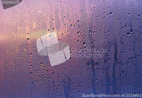 Image of Water drops and sunlight on glass