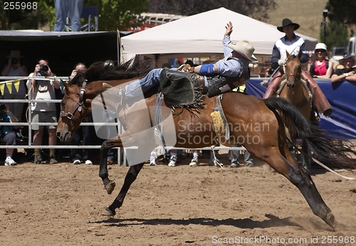 Image of Rodeo Rider