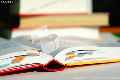 Image of Reading book with bookmarks