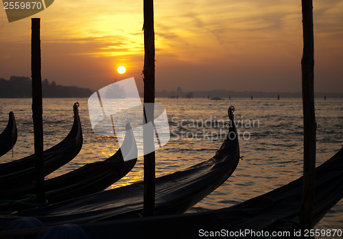 Image of gondolas bows