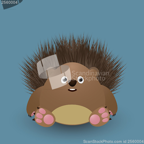 Image of Cute baby hedgehog