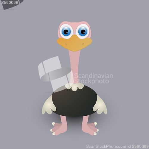 Image of Cute baby ostrich