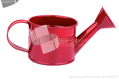 Image of Purple Watering Can
