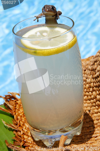 Image of Summer Lemonade