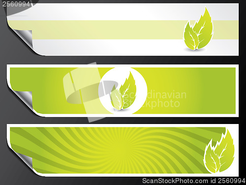 Image of Eco banner set in green color 
