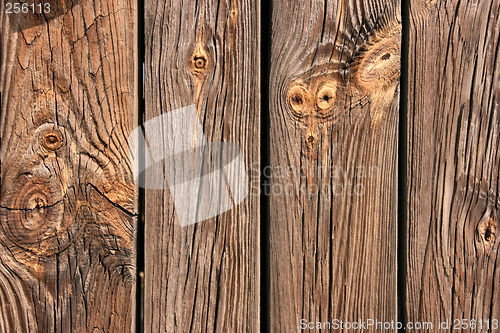 Image of Wooden background texture