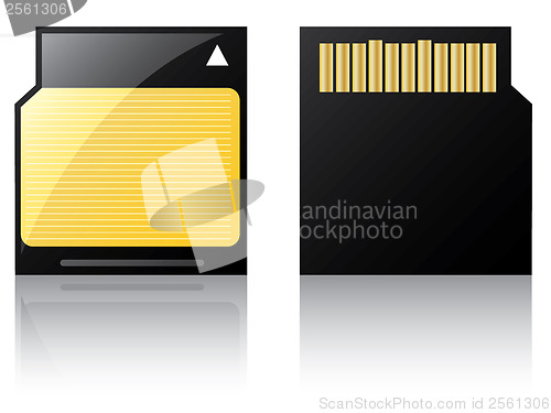 Image of Labeled Mini Sd card 