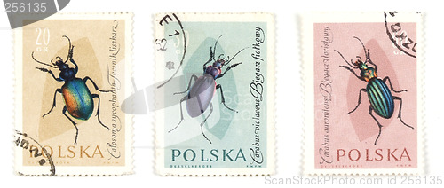 Image of Bugs and insects on postage stamps