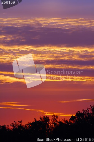 Image of Sunrise