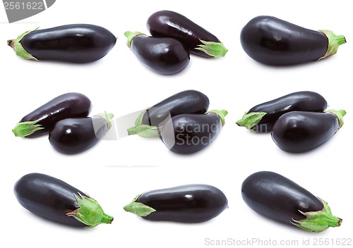Image of Aubergine